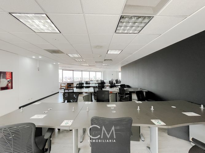 Oficina en  Arriendo en Quinta camacho, Bogotá - Miniatura 18