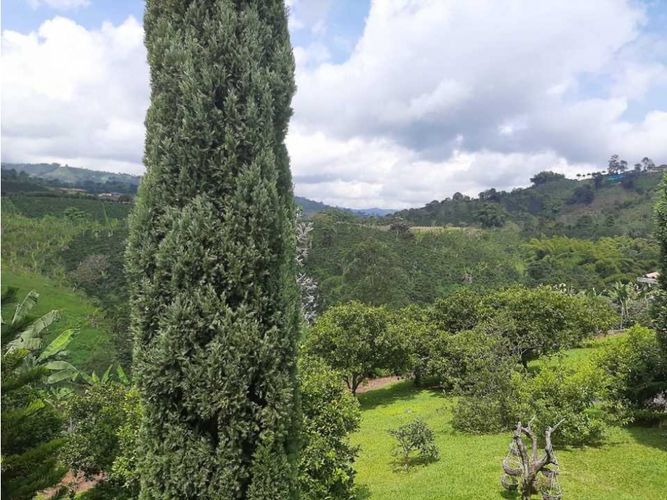 Finca en  Venta en Santa rosa de cabal - Miniatura 5