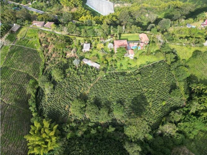 Finca en  Venta en Santa rosa de cabal - Miniatura 28