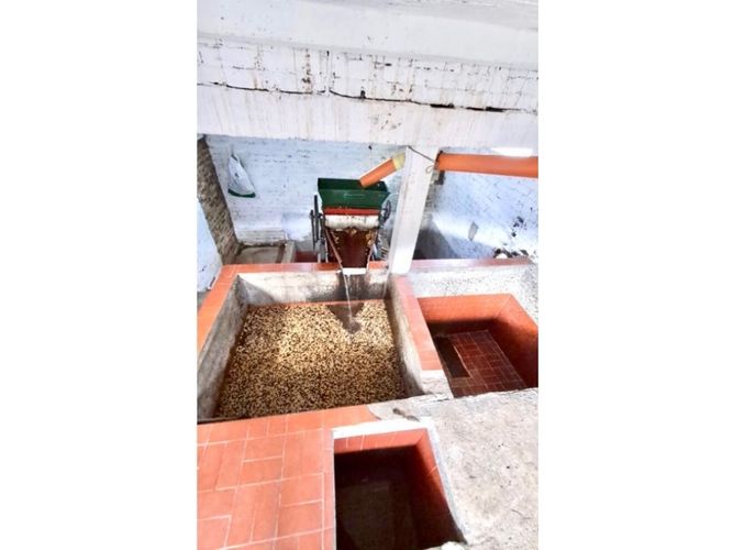 Finca en venta en Samaria, Caicedonia - Miniatura 5
