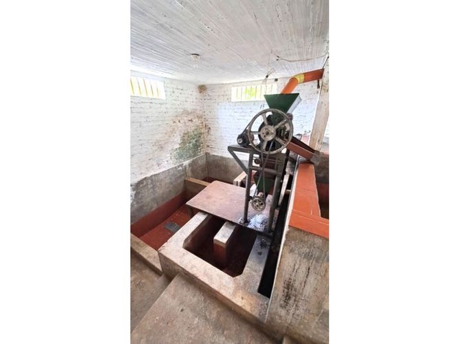 Finca en venta en Samaria, Caicedonia - Miniatura 6