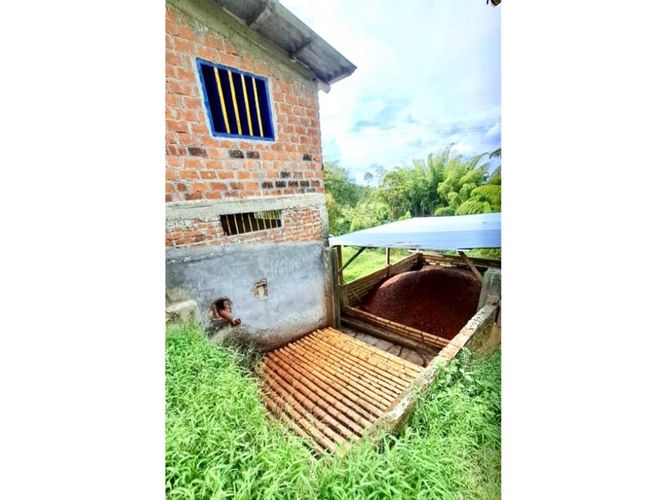 Finca en venta en Samaria, Caicedonia - Miniatura 8