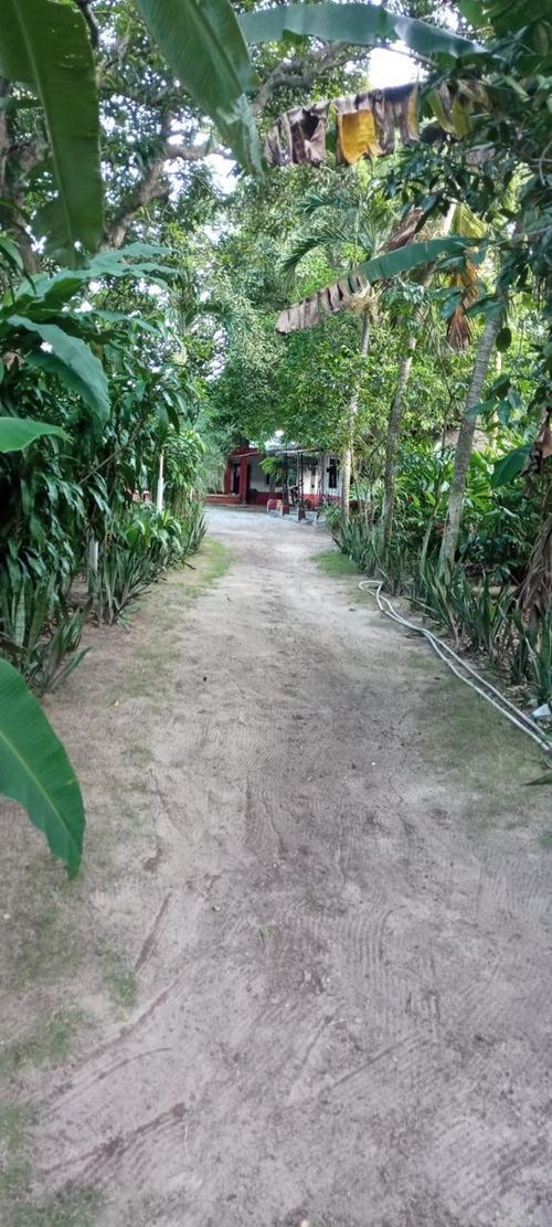 Finca en  Venta en Malambo - Miniatura 5