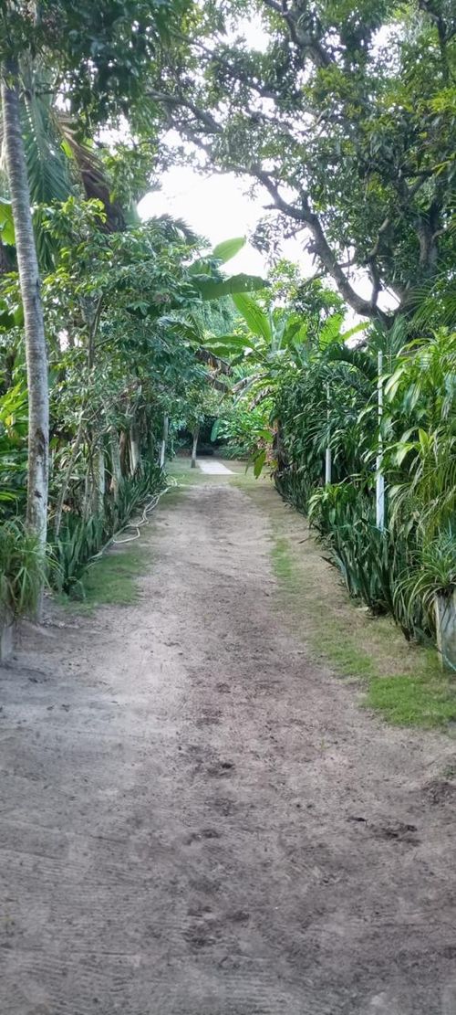 Finca en  Venta en Malambo - Miniatura 9