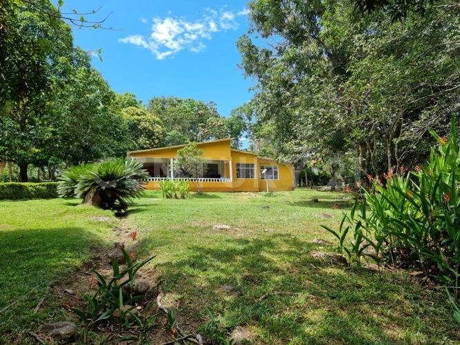 Finca en  Venta en Carmen de Apicalá - Miniatura 4