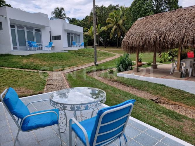 Finca en  Venta en Carmen de Apicalá - Miniatura 19