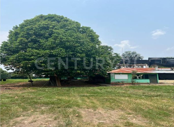 Finca en  Arriendo en Cumaral - Miniatura 3