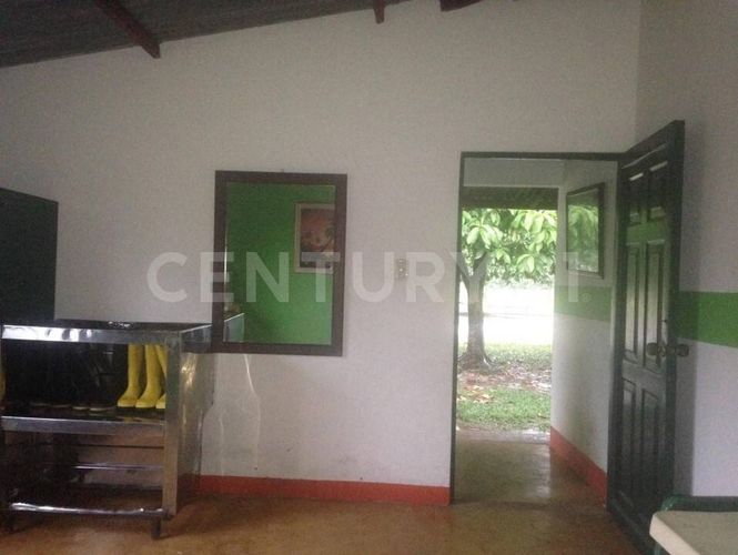 Finca en  Arriendo en Cumaral - Miniatura 6