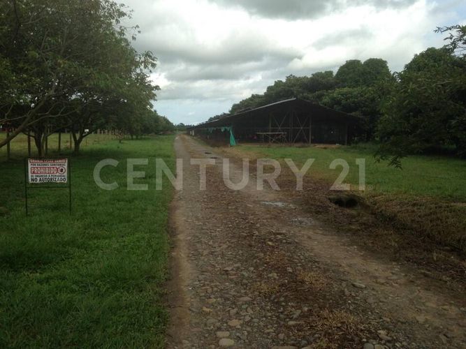 Finca en  Arriendo en Cumaral - Miniatura 10