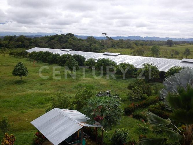 Finca en  Arriendo en Cumaral - Miniatura 12