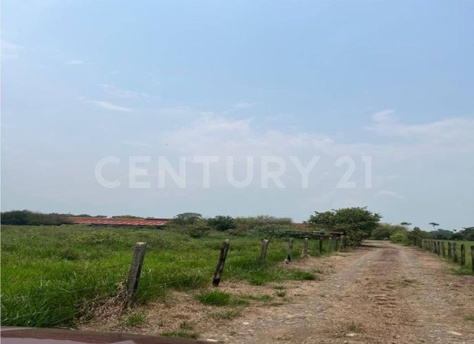 Finca en  Arriendo en Cumaral - Miniatura 20