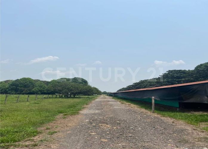 Finca en  Arriendo en Cumaral - Miniatura 21