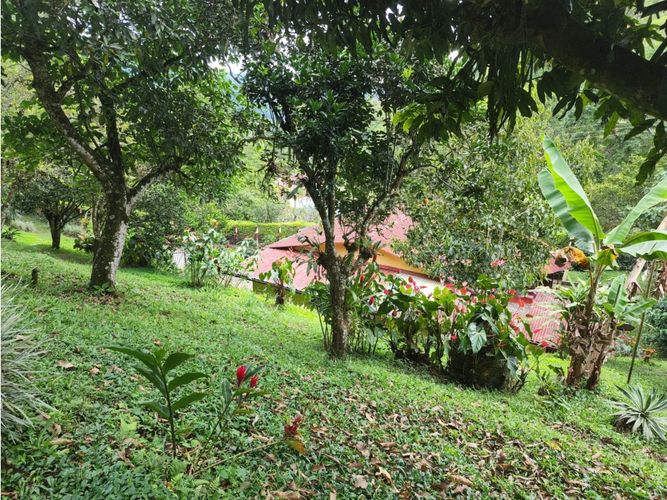 Finca en  Venta en La vega - Miniatura 2