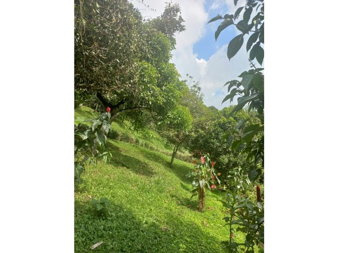 Finca en  Venta en La vega - Miniatura 3