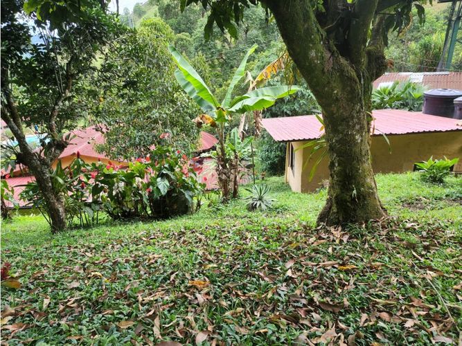 Finca en  Venta en La vega - Miniatura 4