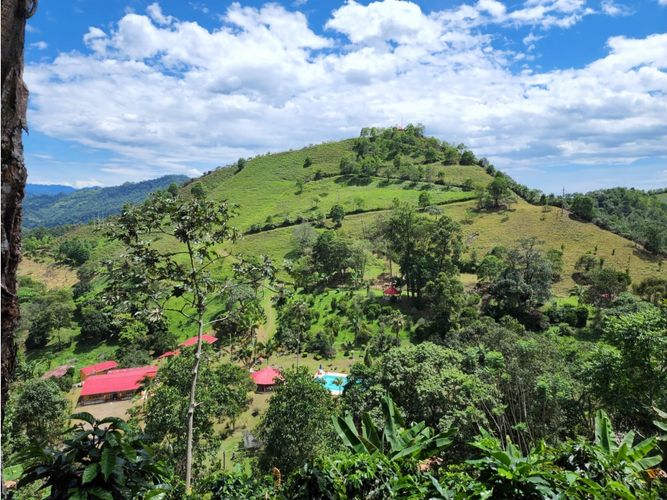 Finca en  Venta en La vega - Miniatura 8
