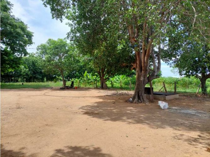 Finca en  Venta en Los angeles, Valledupar - Imagen 1