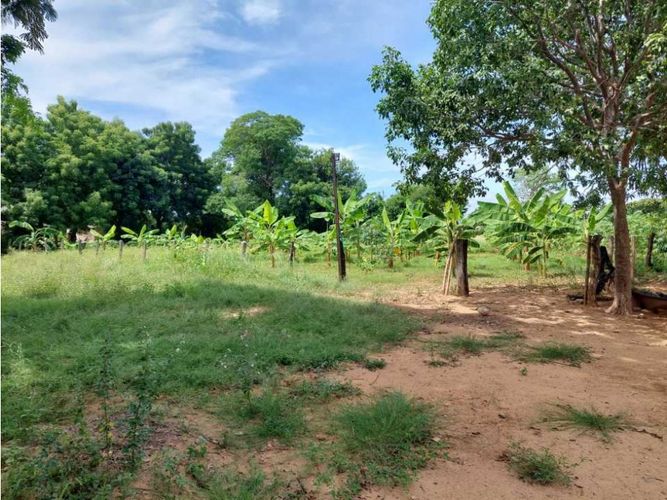 Finca en  Venta en Los angeles, Valledupar - Miniatura 14