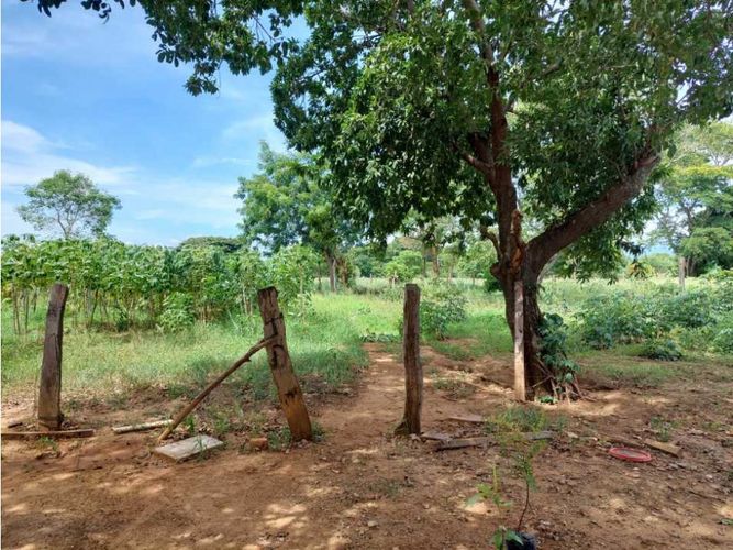 Finca en  Venta en Los angeles, Valledupar - Miniatura 15