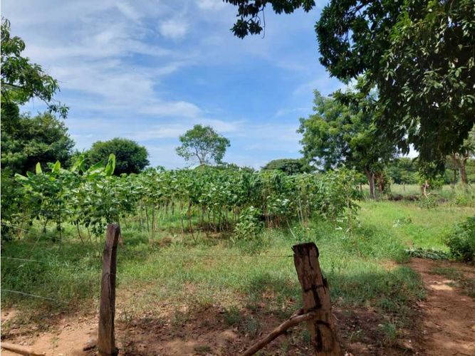Finca en  Venta en Los angeles, Valledupar - Miniatura 19
