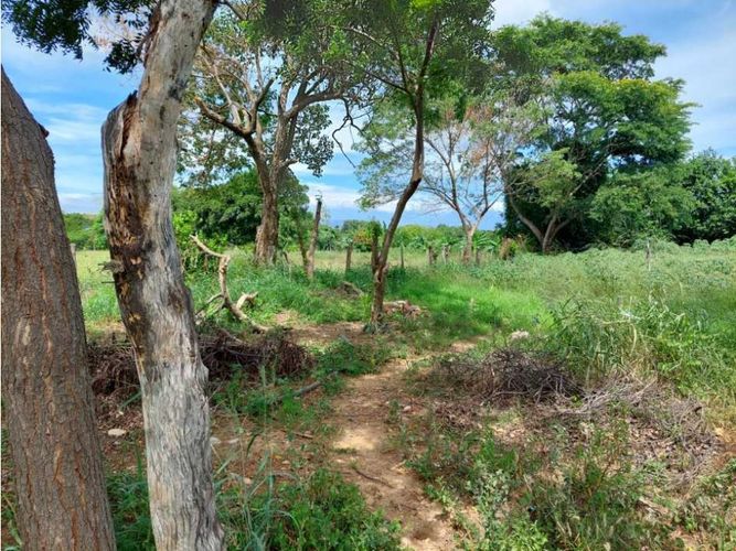 Finca en  Venta en Los angeles, Valledupar - Miniatura 20