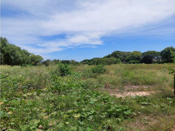 Finca en  Venta en Los angeles, Valledupar - Miniatura 22