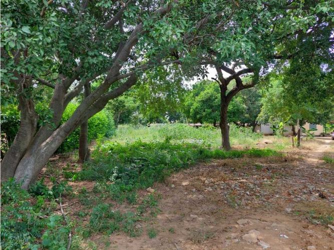 Finca en  Venta en Los angeles, Valledupar - Miniatura 23