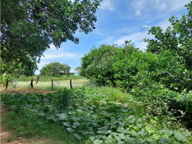 Finca en  Venta en Los angeles, Valledupar - Miniatura 24