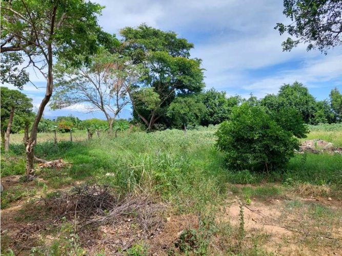 Finca en  Venta en Los angeles, Valledupar - Miniatura 25