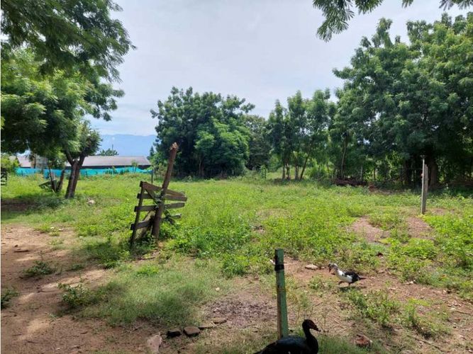 Finca en  Venta en Los angeles, Valledupar - Miniatura 26