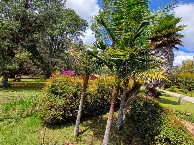 Finca en  Arriendo en Vía Las Palmas, El Retiro - Miniatura 16