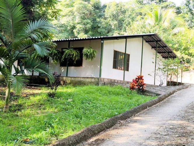 Finca en  Venta en Pajas blancas, Nilo - Miniatura 9
