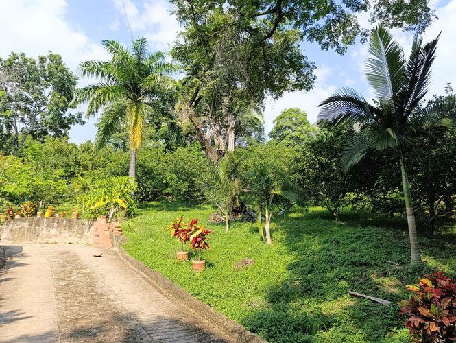 Finca en  Venta en Pajas blancas, Nilo - Miniatura 2