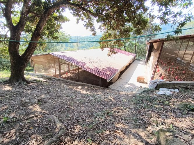 Finca en  Venta en Pajas blancas, Nilo - Miniatura 10