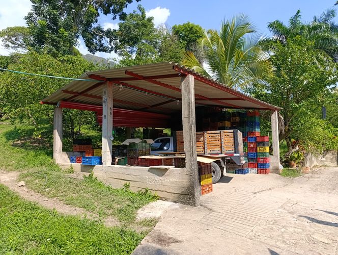 Finca en  Venta en Pajas blancas, Nilo - Miniatura 5