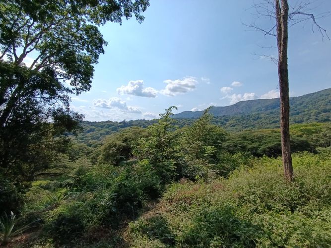 Finca en  Venta en Pajas blancas, Nilo - Miniatura 7