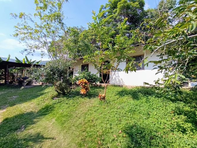 Finca en  Venta en Pajas blancas, Nilo - Miniatura 16