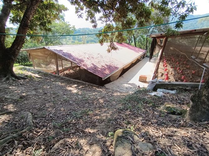 Finca en  Venta en Pajas blancas, Nilo - Miniatura 22