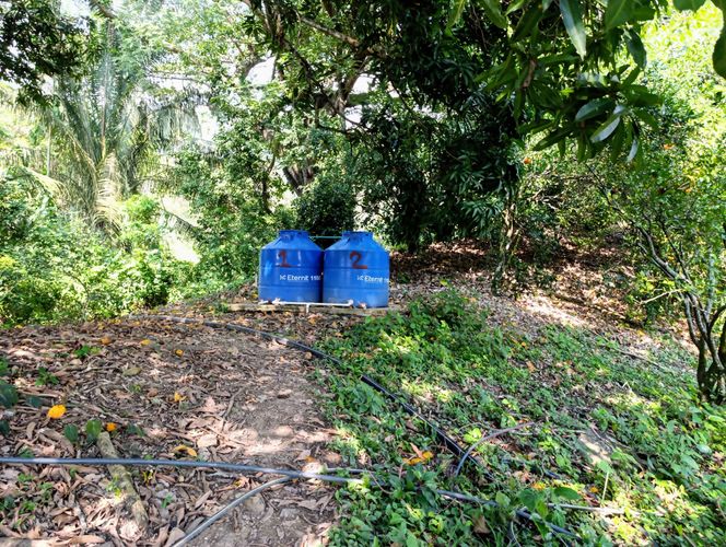 Finca en  Venta en Pajas blancas, Nilo - Miniatura 18