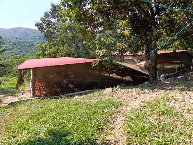 Finca en  Venta en Pajas blancas, Nilo - Miniatura 4