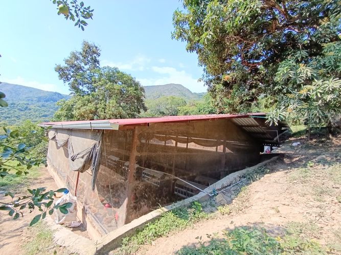 Finca en  Venta en Pajas blancas, Nilo - Miniatura 20