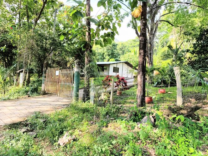 Finca en  Venta en Pajas blancas, Nilo - Imagen 1