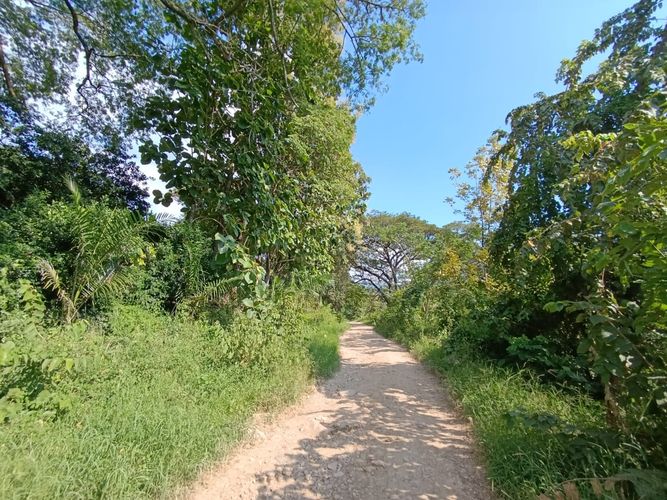 Finca en  Venta en Pajas blancas, Nilo - Miniatura 26
