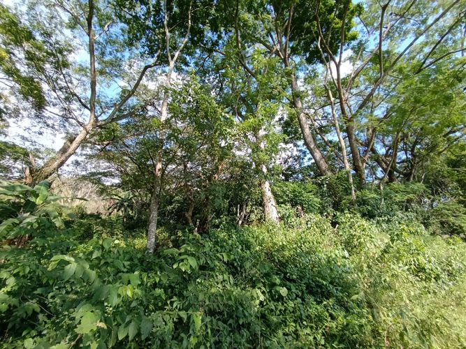 Finca en  Venta en Pajas blancas, Nilo - Miniatura 29