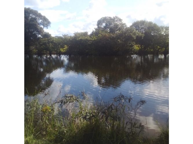 Finca en  Venta en Puerto López - Miniatura 2