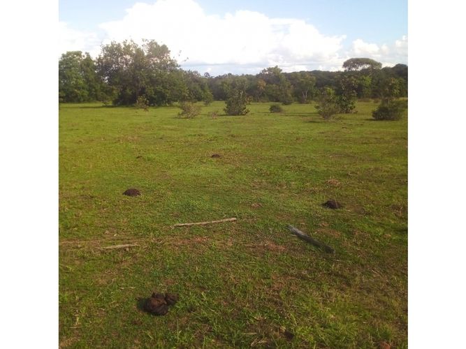Finca en  Venta en Puerto López - Miniatura 3