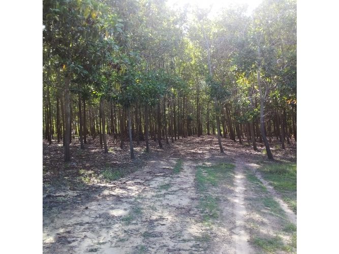 Finca en  Venta en Puerto López - Miniatura 4