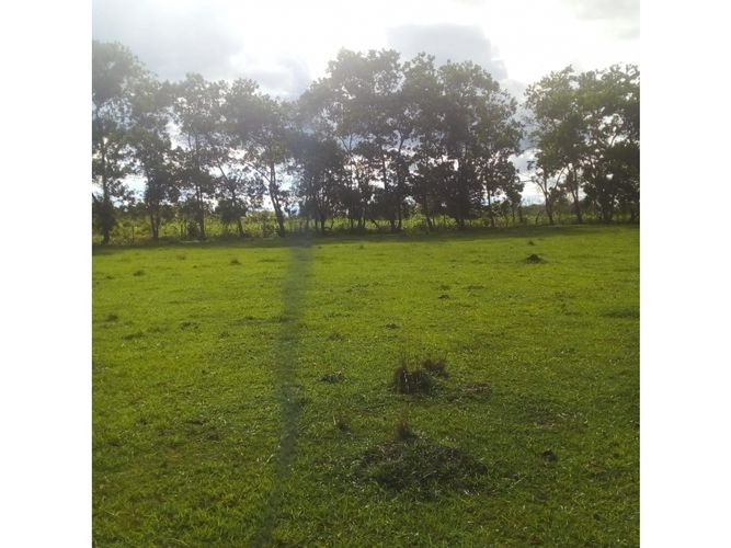 Finca en  Venta en Puerto López - Miniatura 5