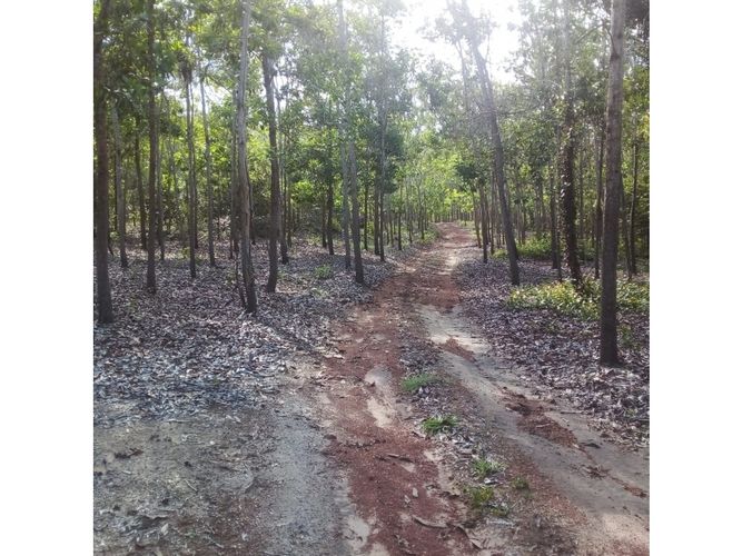 Finca en  Venta en Puerto López - Miniatura 9