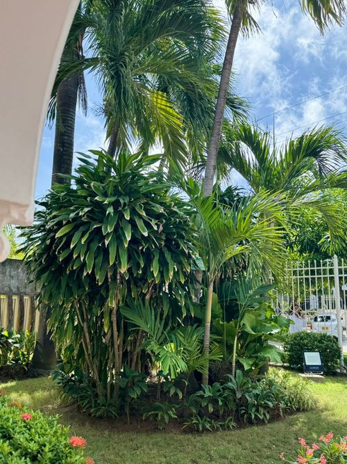 Casa en  Arriendo en La concepcion, Barranquilla - Imagen 1